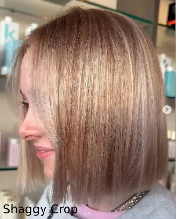 Shaggy Crop