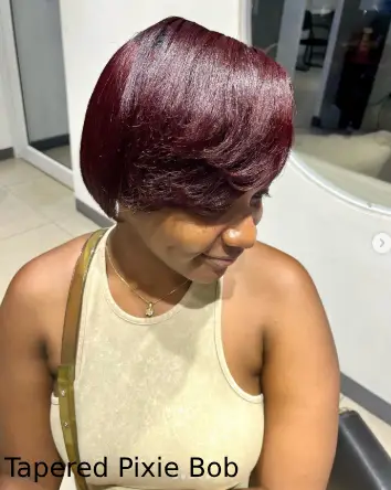  Tapered Pixie Bob