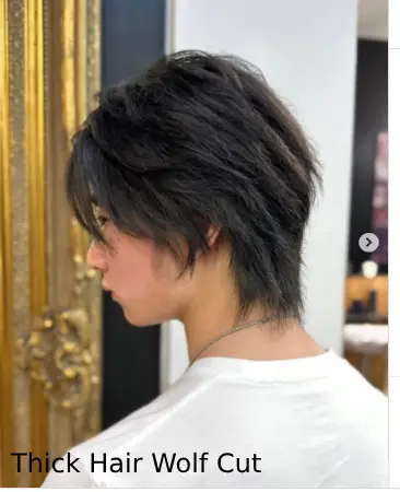 Thick Hair Wolf Cut