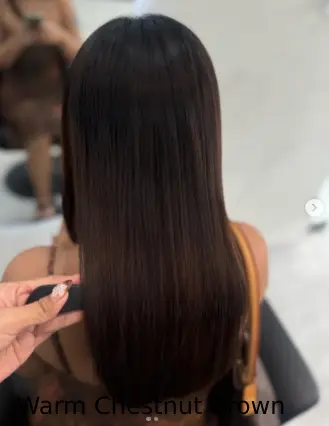  Warm Chestnut Brown
