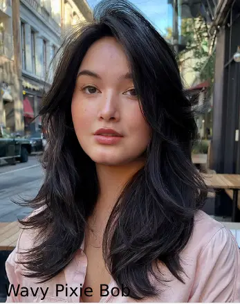 Wavy Pixie Bob