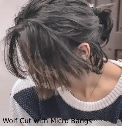 Wolf Cut with Micro Bangs