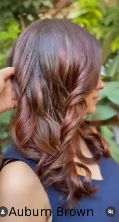  Auburn Brown