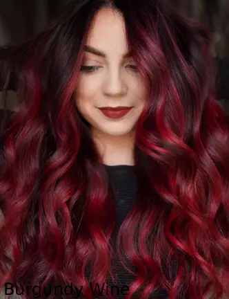 Burgundy Wine