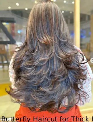 Butterfly Haircut for Thick Hair