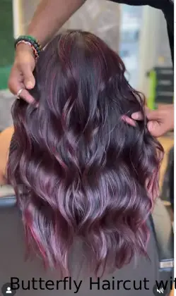 Butterfly Haircut with Highlights