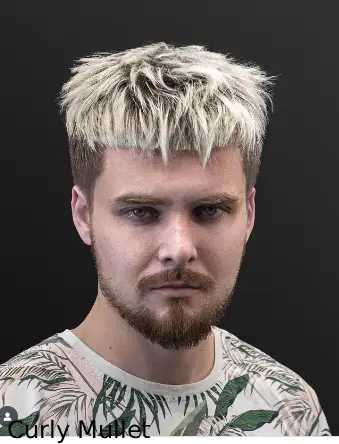Curly Mullet