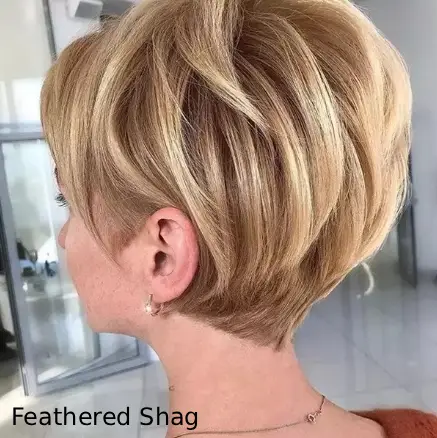 Feathered Shag