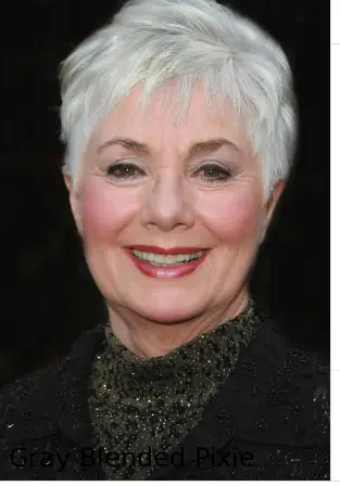Gray Blended Pixie