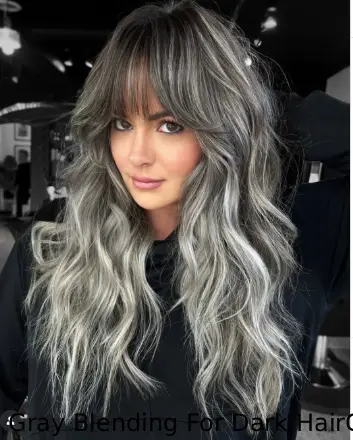 15 Gray Blending For Dark Hair
