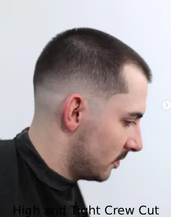 High and Tight Crew Cut