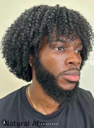 Natural Afro
