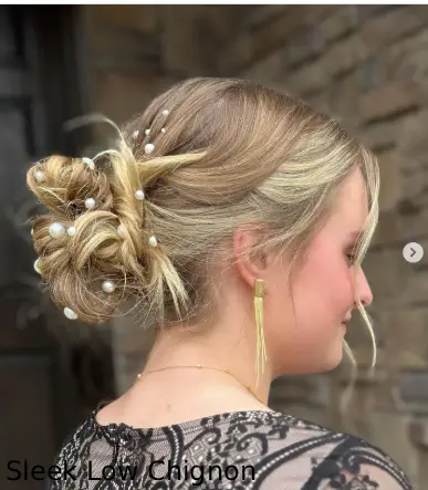 Sleek Low Chignon