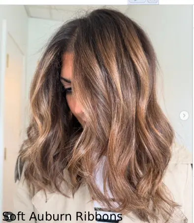 Soft Auburn Ribbons