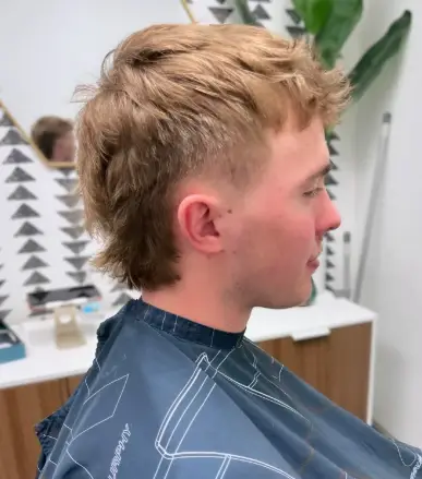 Taper Fade