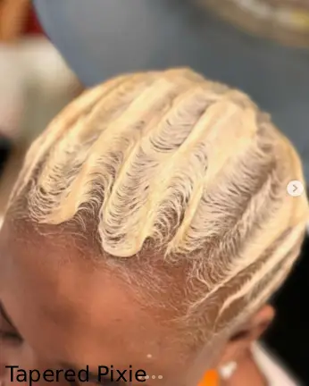 Tapered Pixie