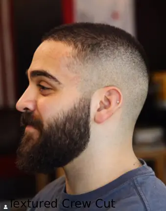Textured Crew Cut